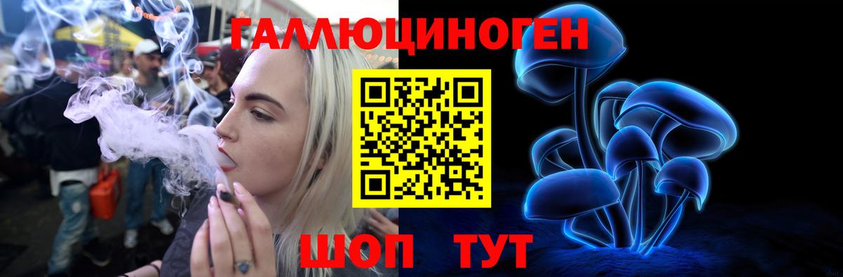 даркнет сайт  Псилоцибиновые грибы GOLDEN TEACHER  Вход с VPN  Ирбит 